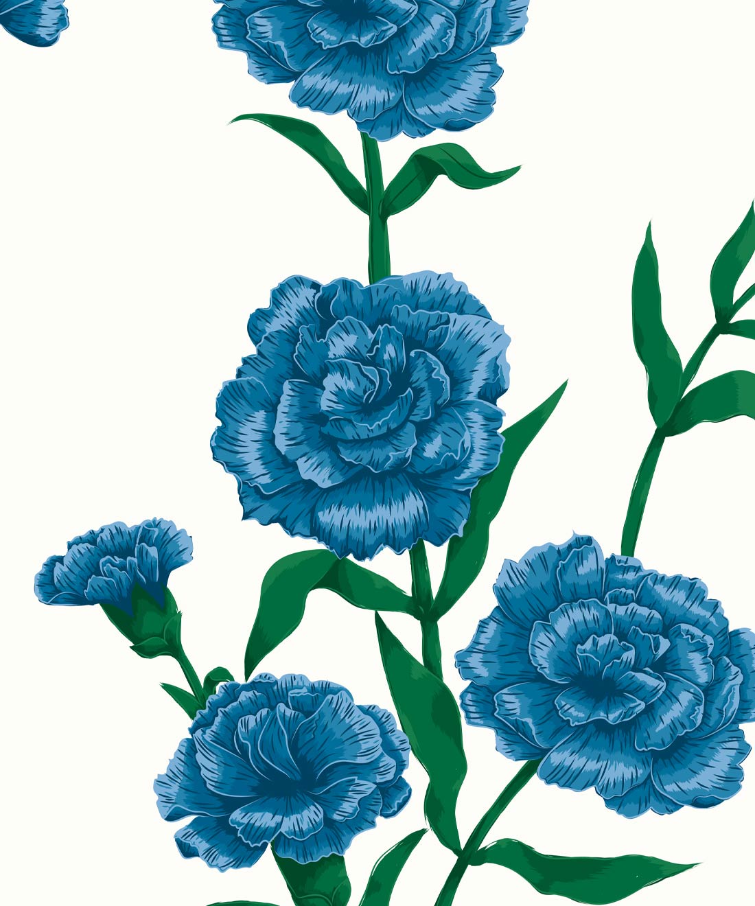 Carnation Flower Wallpapers