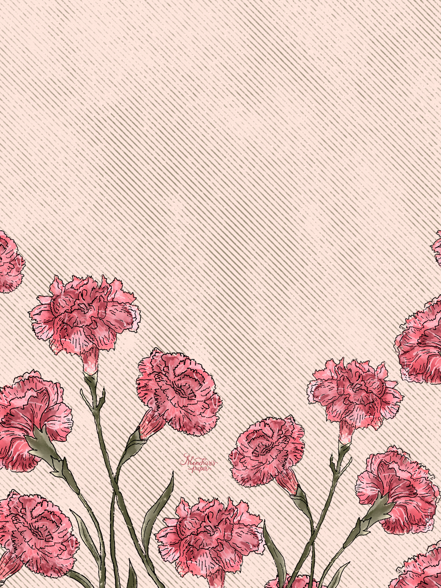 Carnation Wallpapers