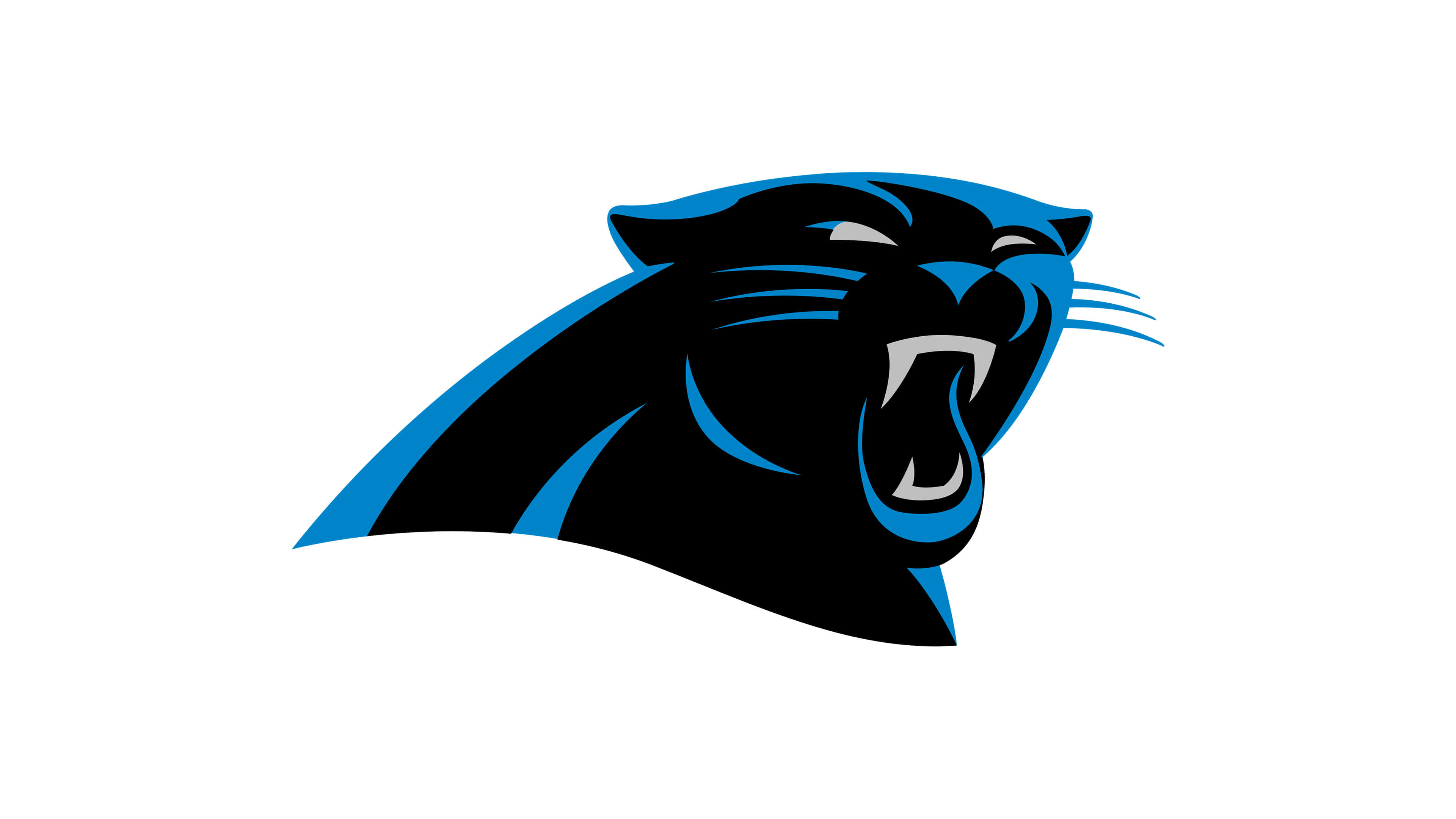 Carolina Panthers Wallpapers