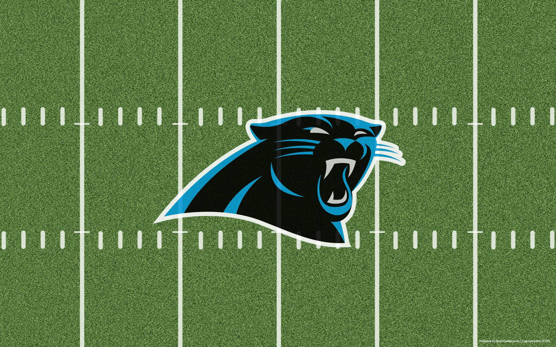 Carolina Panthers Wallpapers