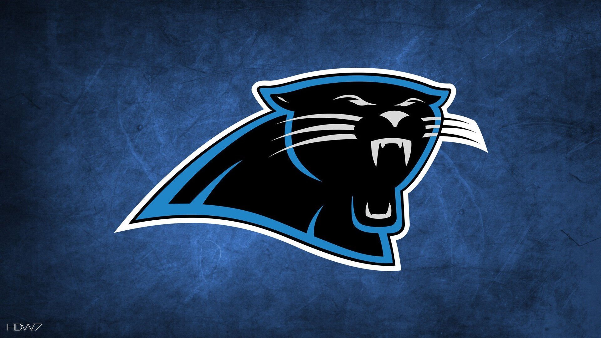 Carolina Panthers Wallpapers