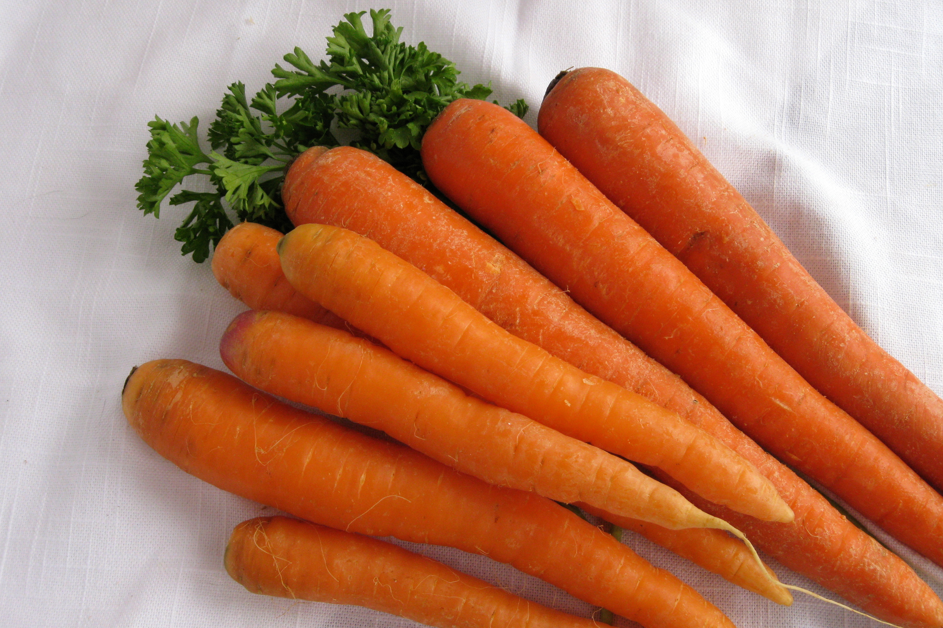 К чему снится морковь свежая. Сорт моркови Наполи. Морковь Наполи f1 AGROELITA. Морковь Парижская Каротель. Овощи морковка.