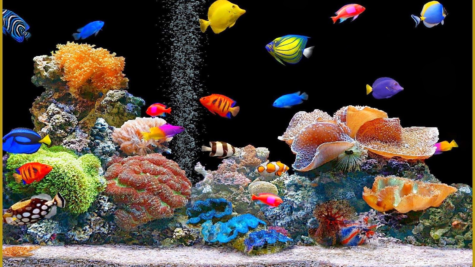 Cartoon Aquarium Wallpapers