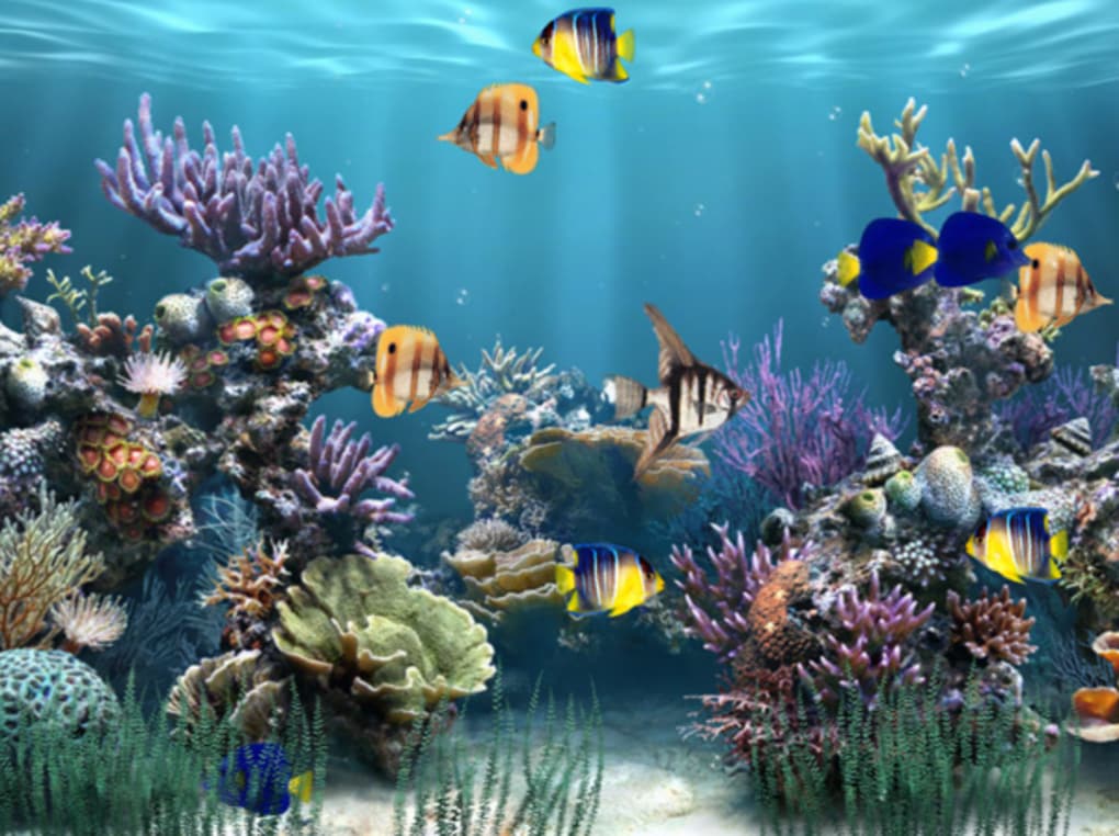 Cartoon Aquarium Wallpapers