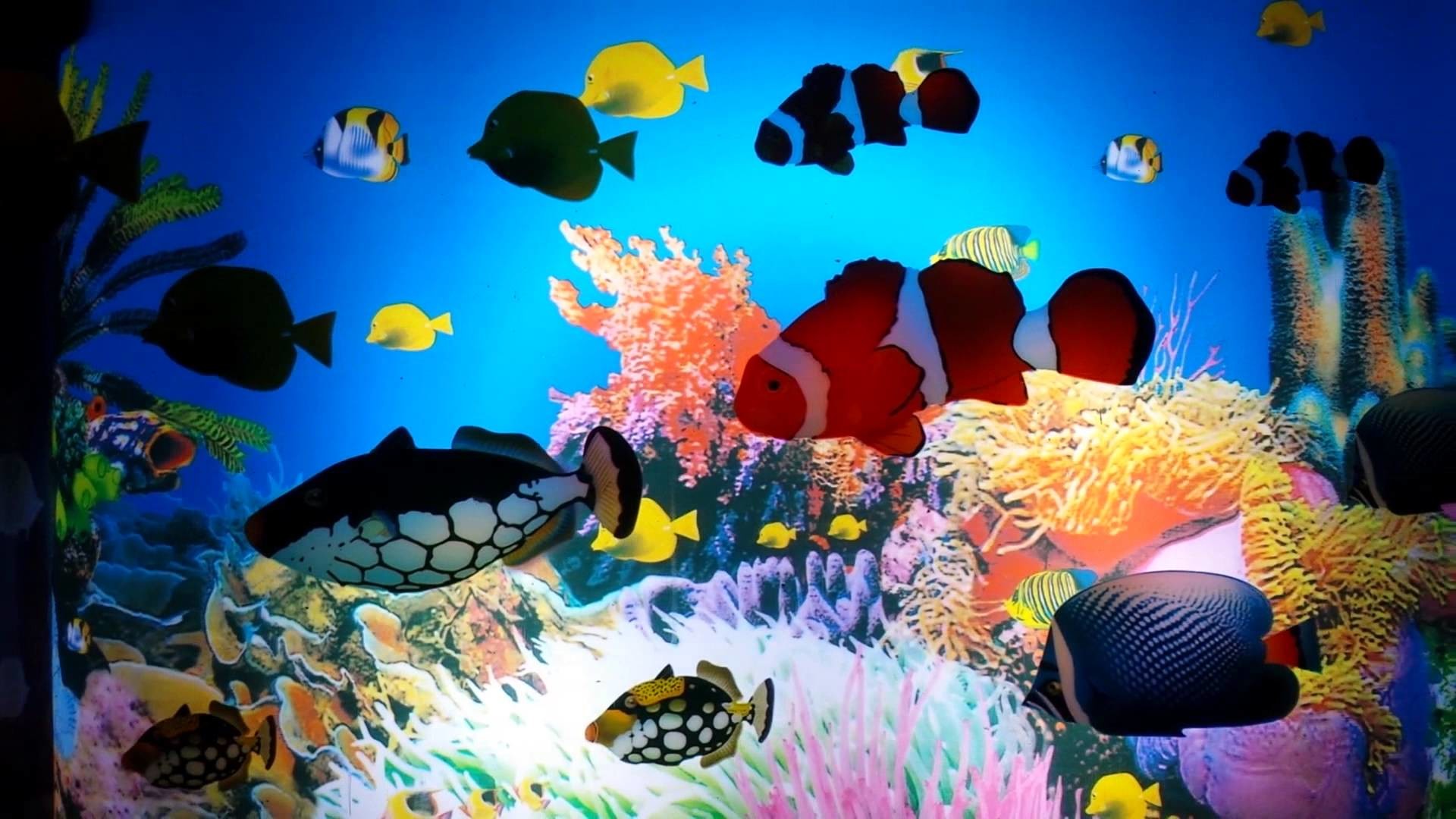 Cartoon Aquarium Wallpapers