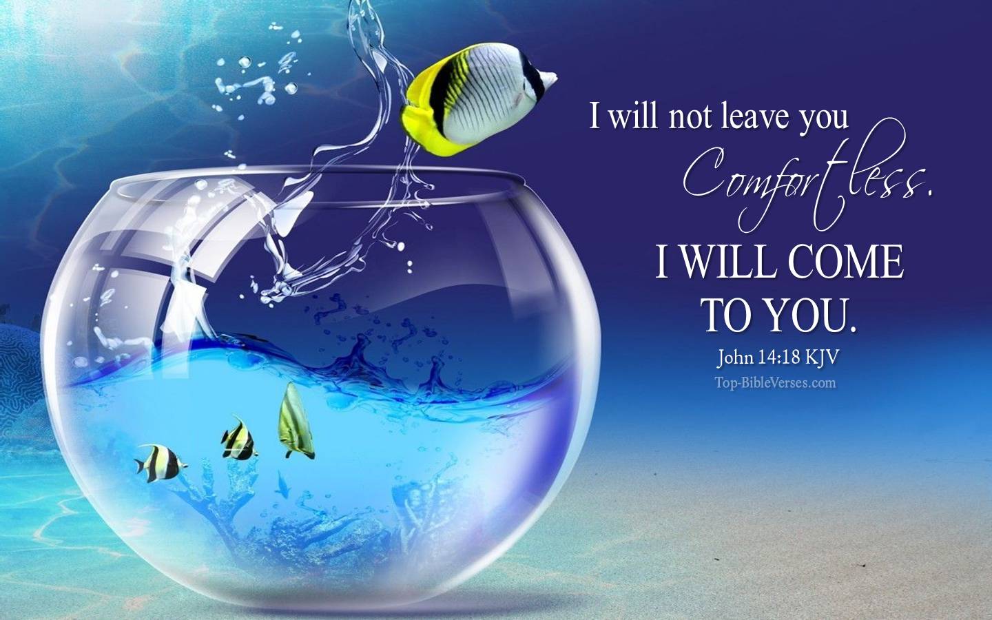 Cartoon Bible Verse Wallpapers