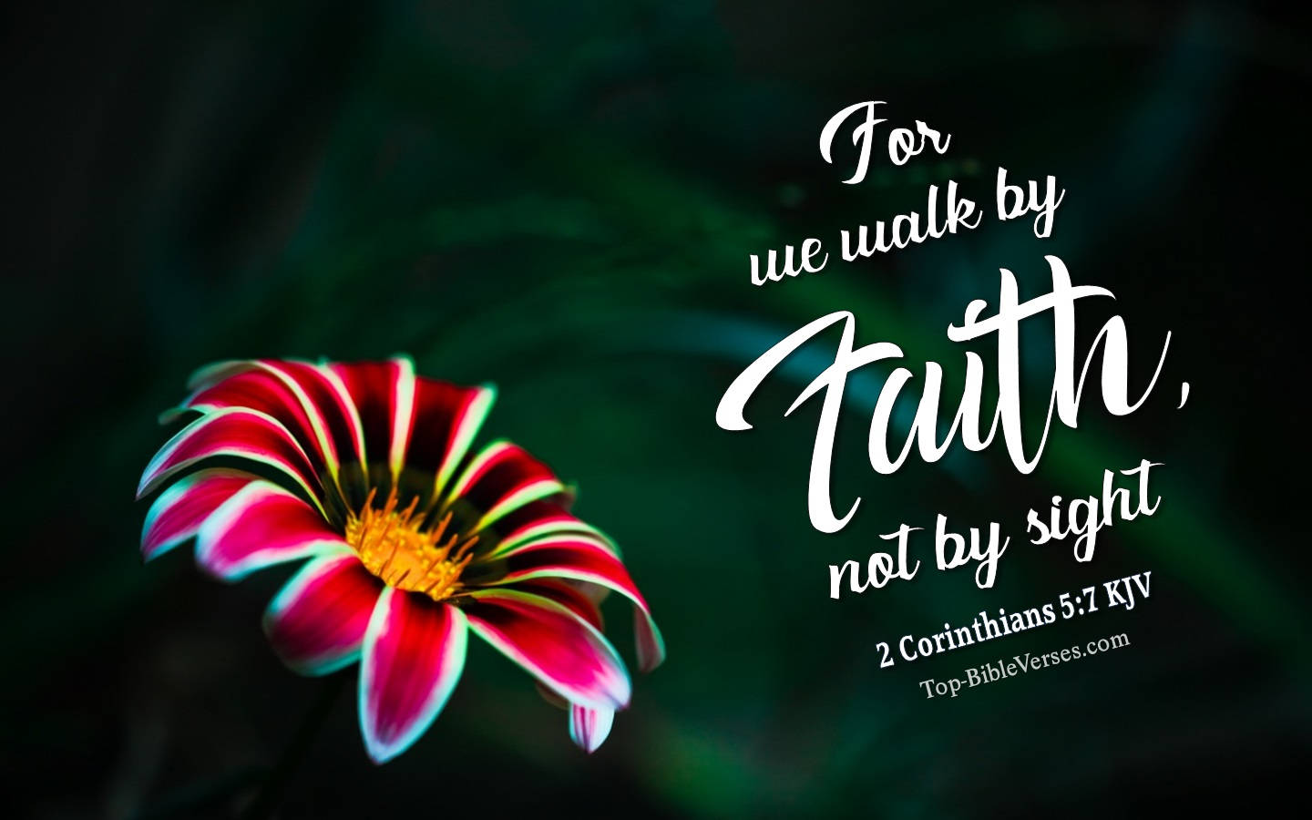 Cartoon Bible Verse Wallpapers