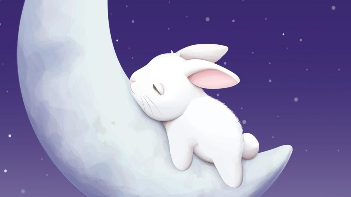 Cartoon Bunny Wallpapers