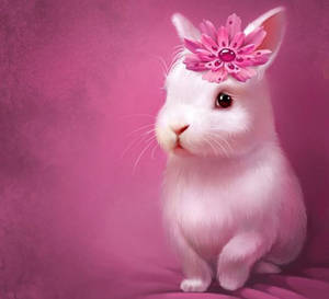 Cartoon Bunny Wallpapers