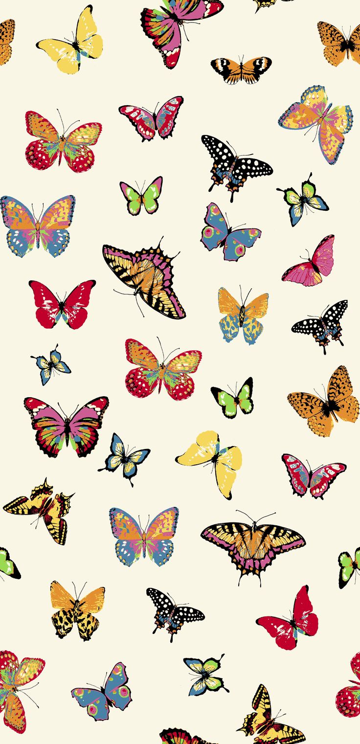 Cartoon Butterfly Wallpapers