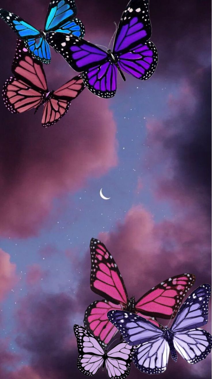 Cartoon Butterfly Wallpapers