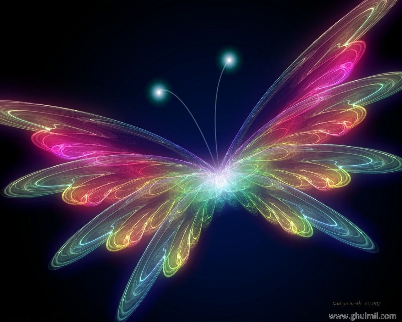 Cartoon Butterfly Wallpapers