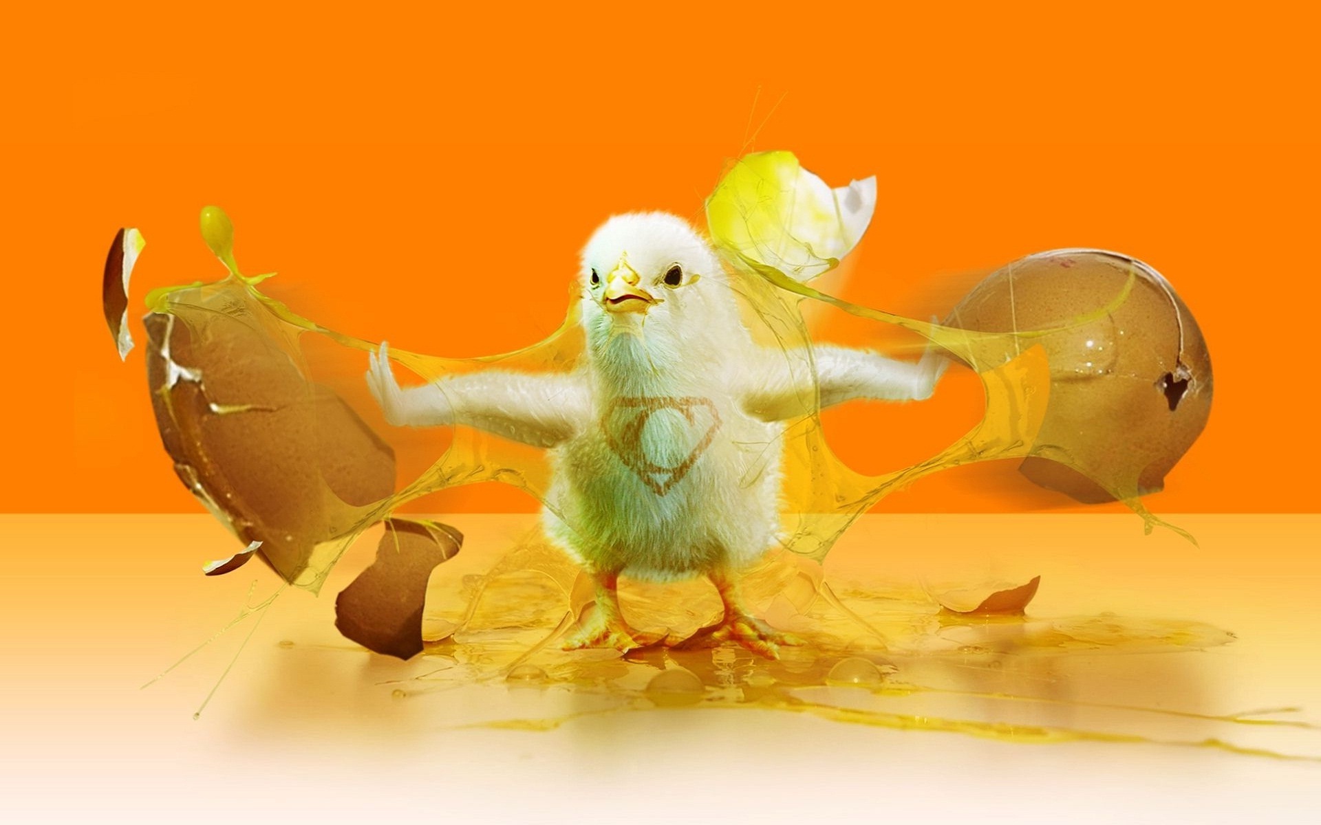 Cartoon Chicken Wallpapers