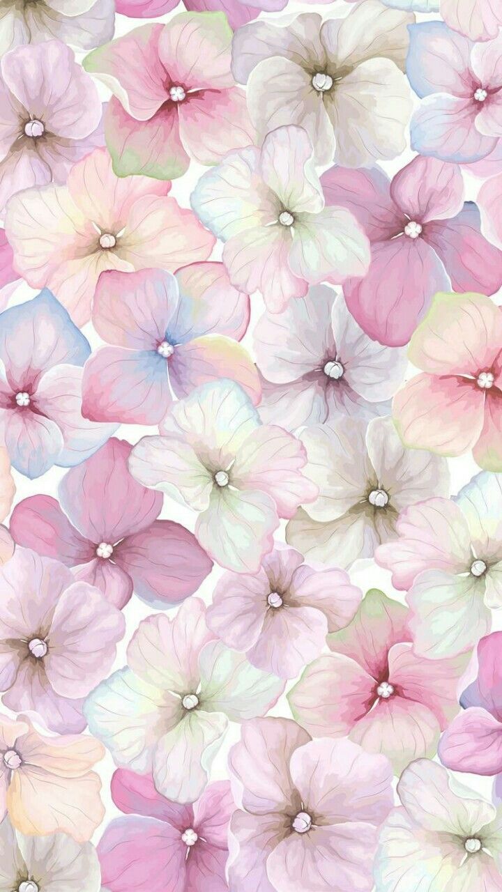 Cartoon Flowers Wallpapers