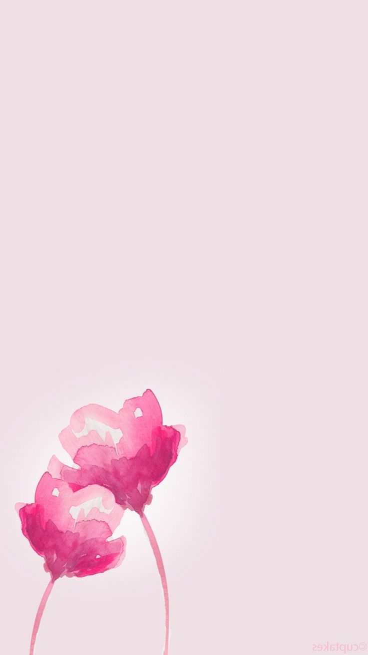 Cartoon Flowers Wallpapers