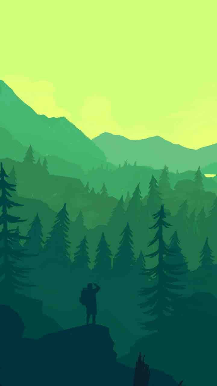 Cartoon Forest Wallpapers