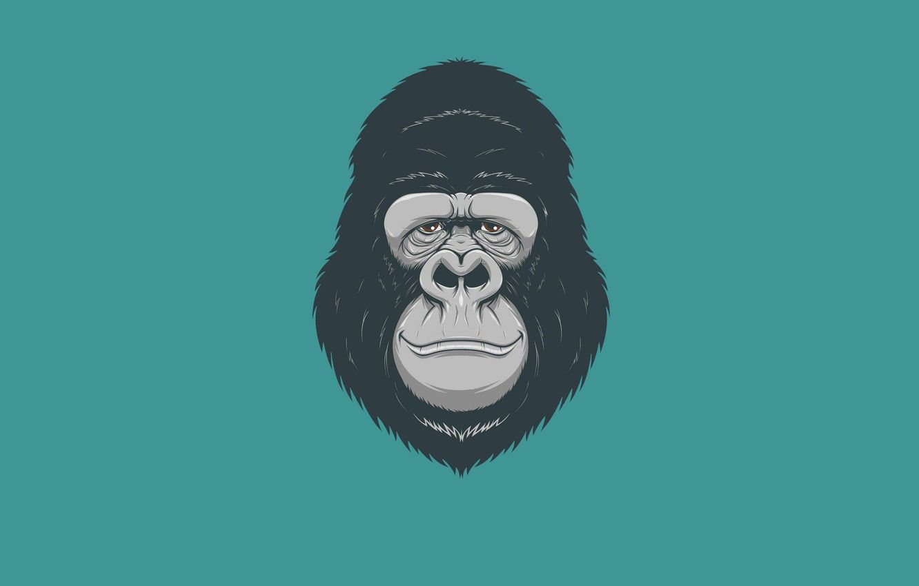 Cartoon Gorilla Wallpapers