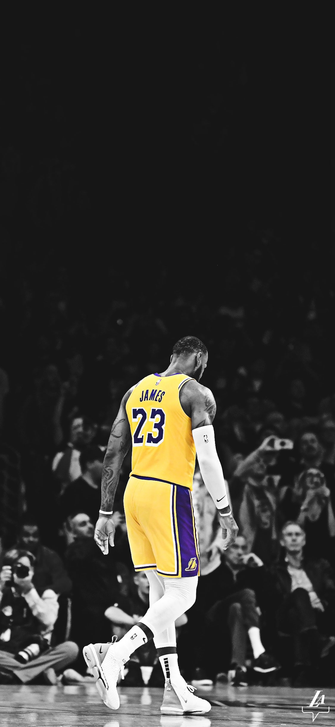 Cartoon Lebron Lakers Wallpapers