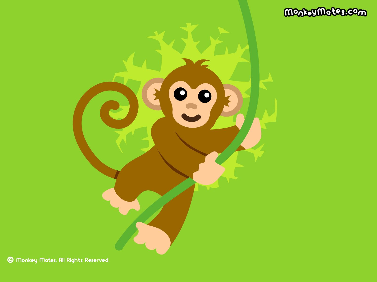 Cartoon Monkey Wallpapers