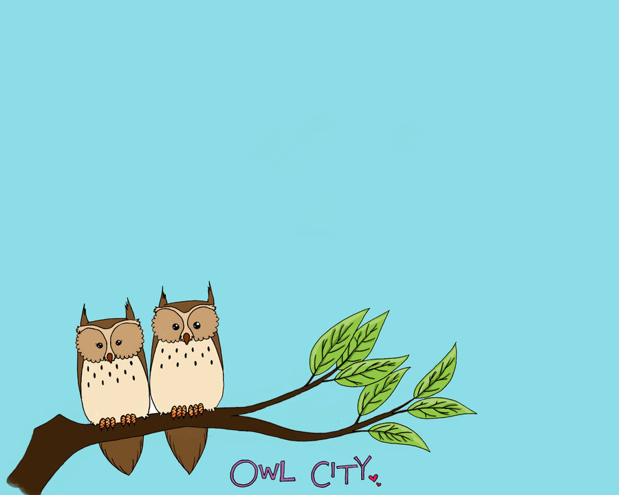 Cartoon Owl Wallpapers