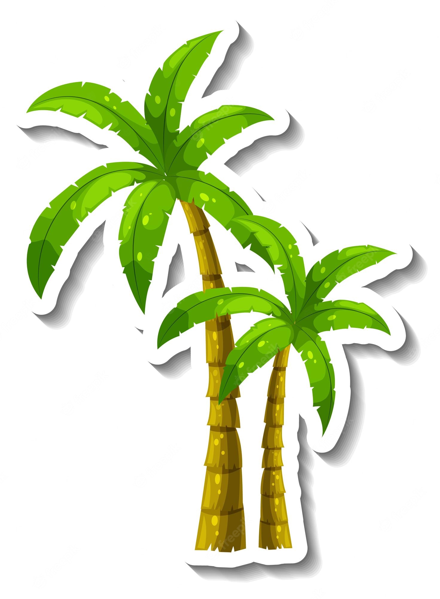 Cartoon Palm Tree Wallpapers