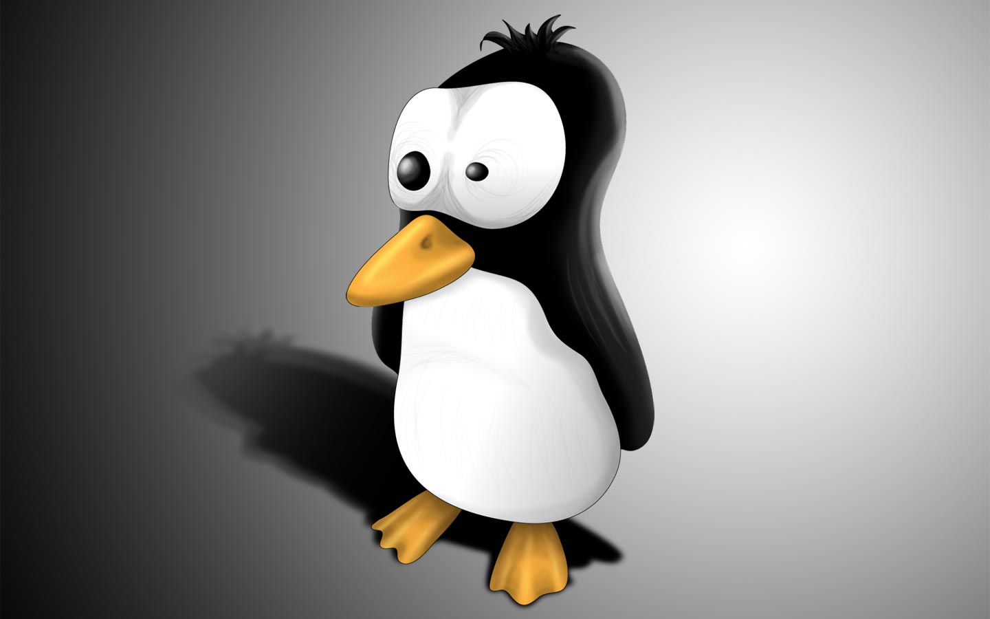 Cartoon Penguin Wallpapers