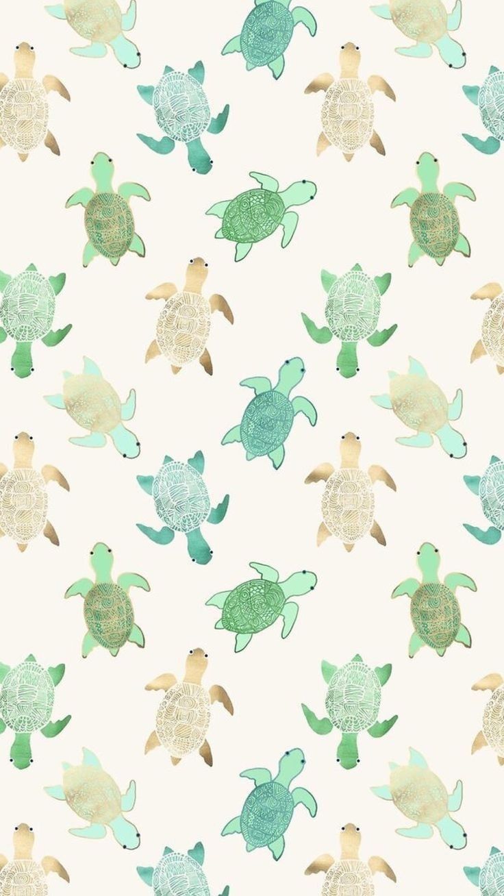 Cartoon Sea Turtle Wallpapers