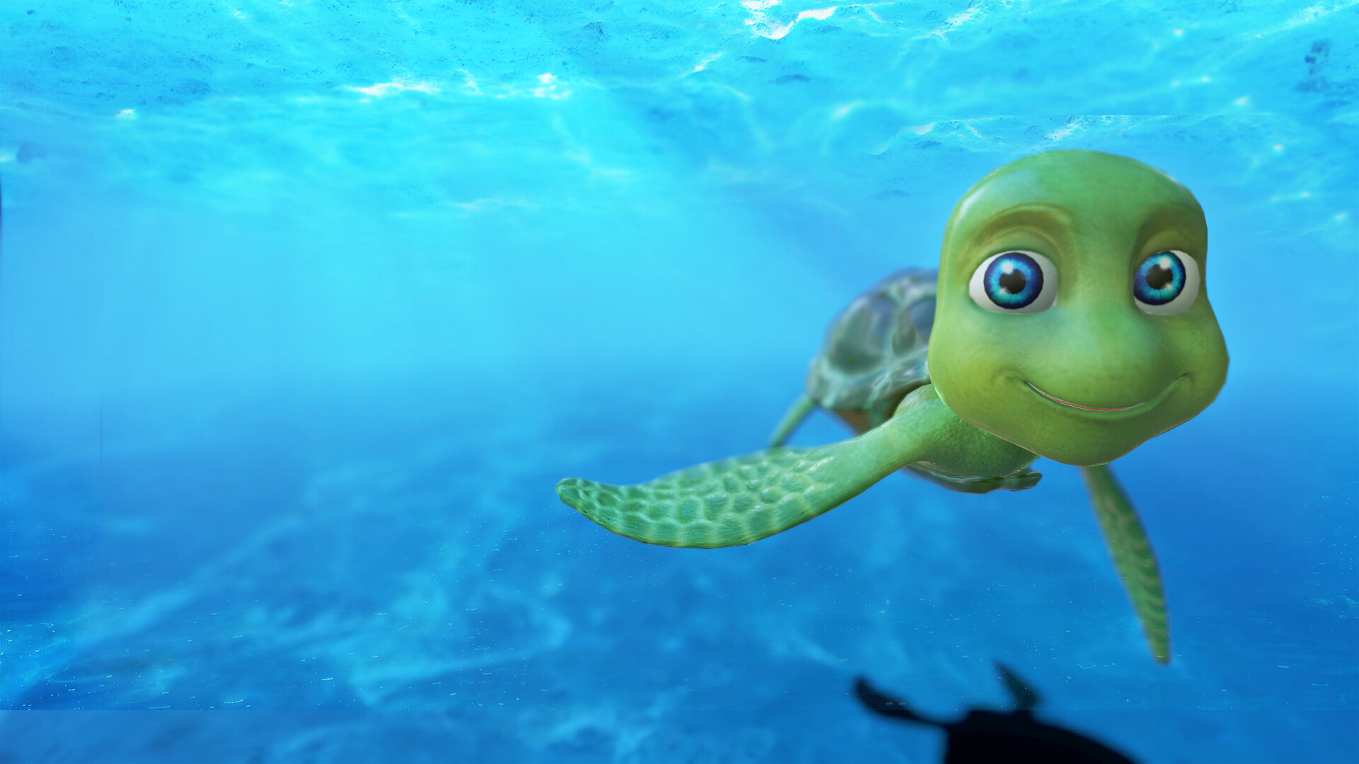 Cartoon Sea Turtle Wallpapers