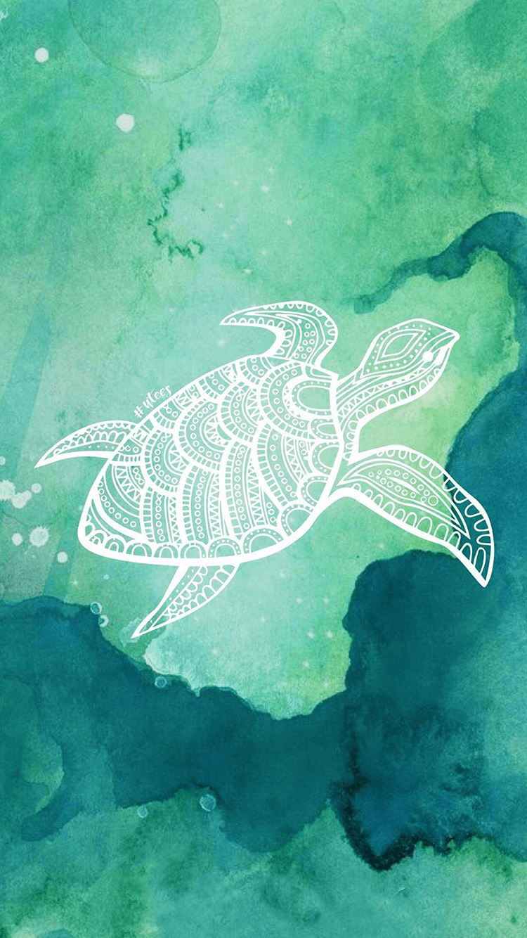 Cartoon Sea Turtle Wallpapers