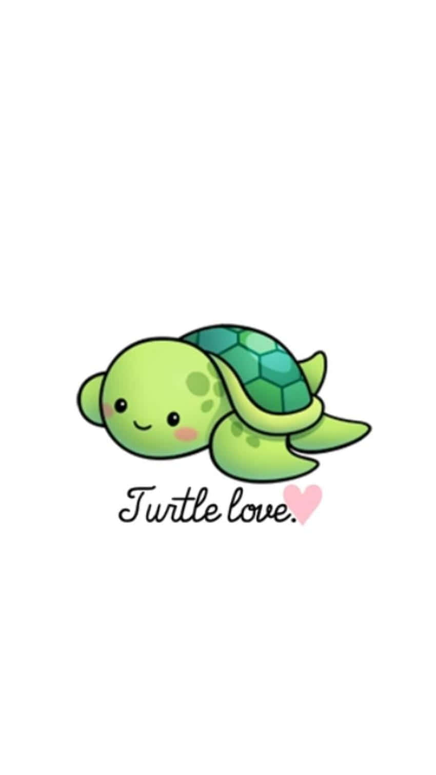 Cartoon Sea Turtle Wallpapers