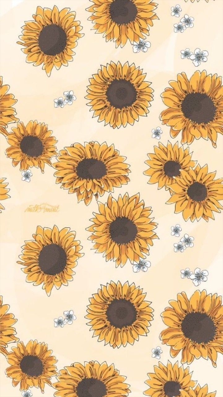 Cartoon Sunflower Wallpapers