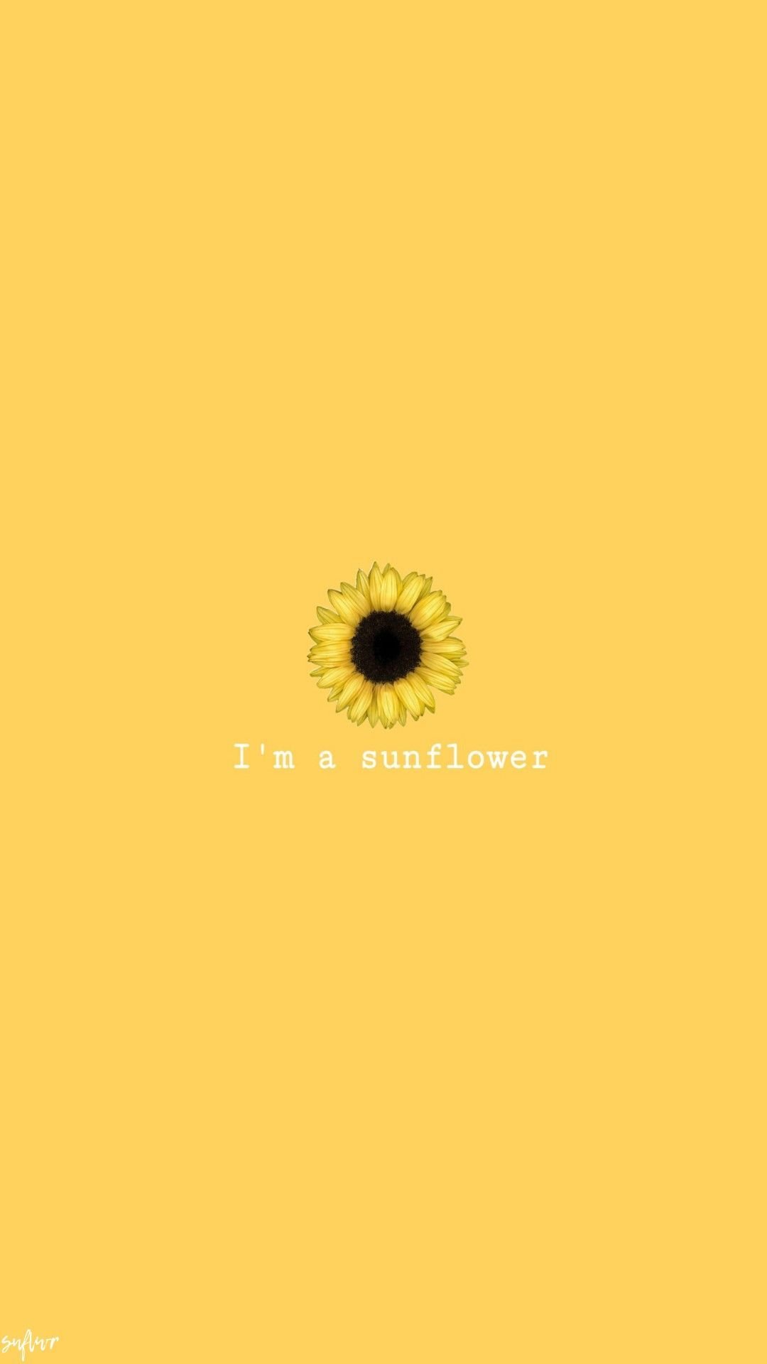 Cartoon Sunflower Wallpapers