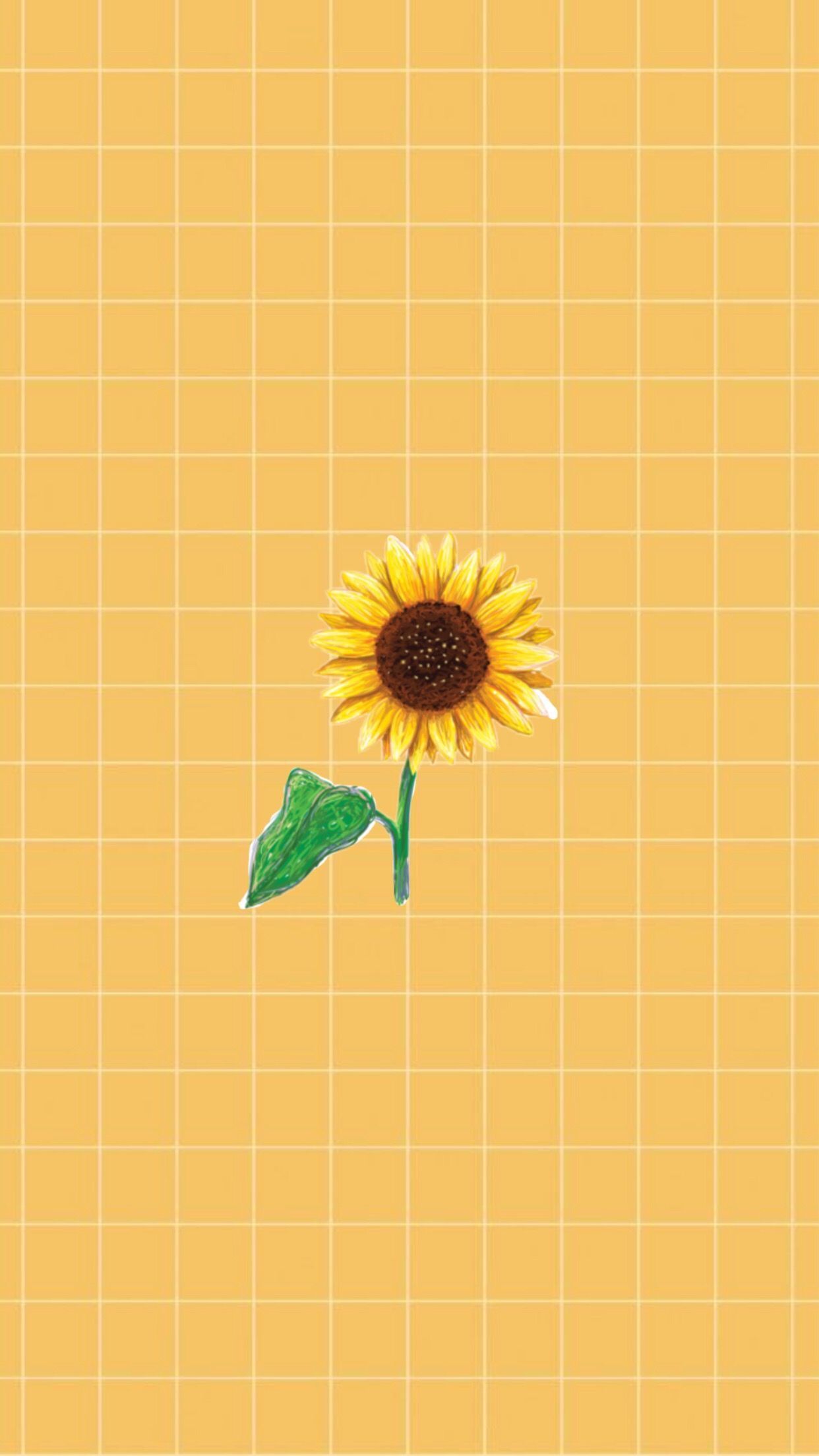 Cartoon Sunflower Wallpapers