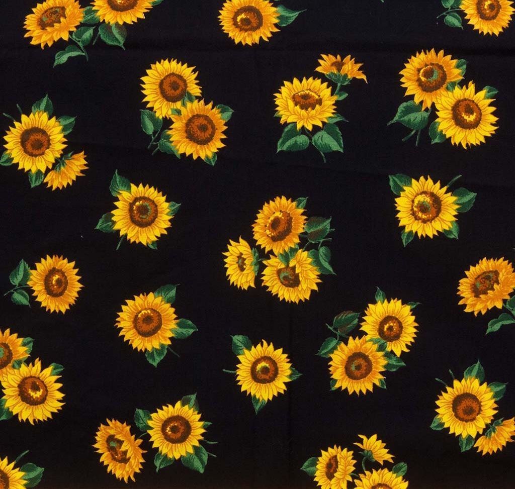 Cartoon Sunflower Wallpapers