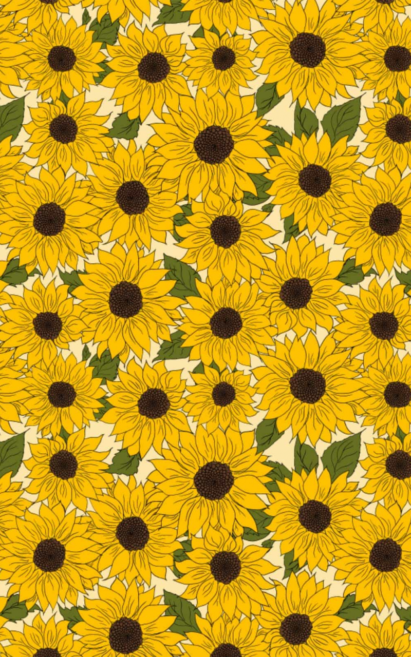 Cartoon Sunflower Wallpapers