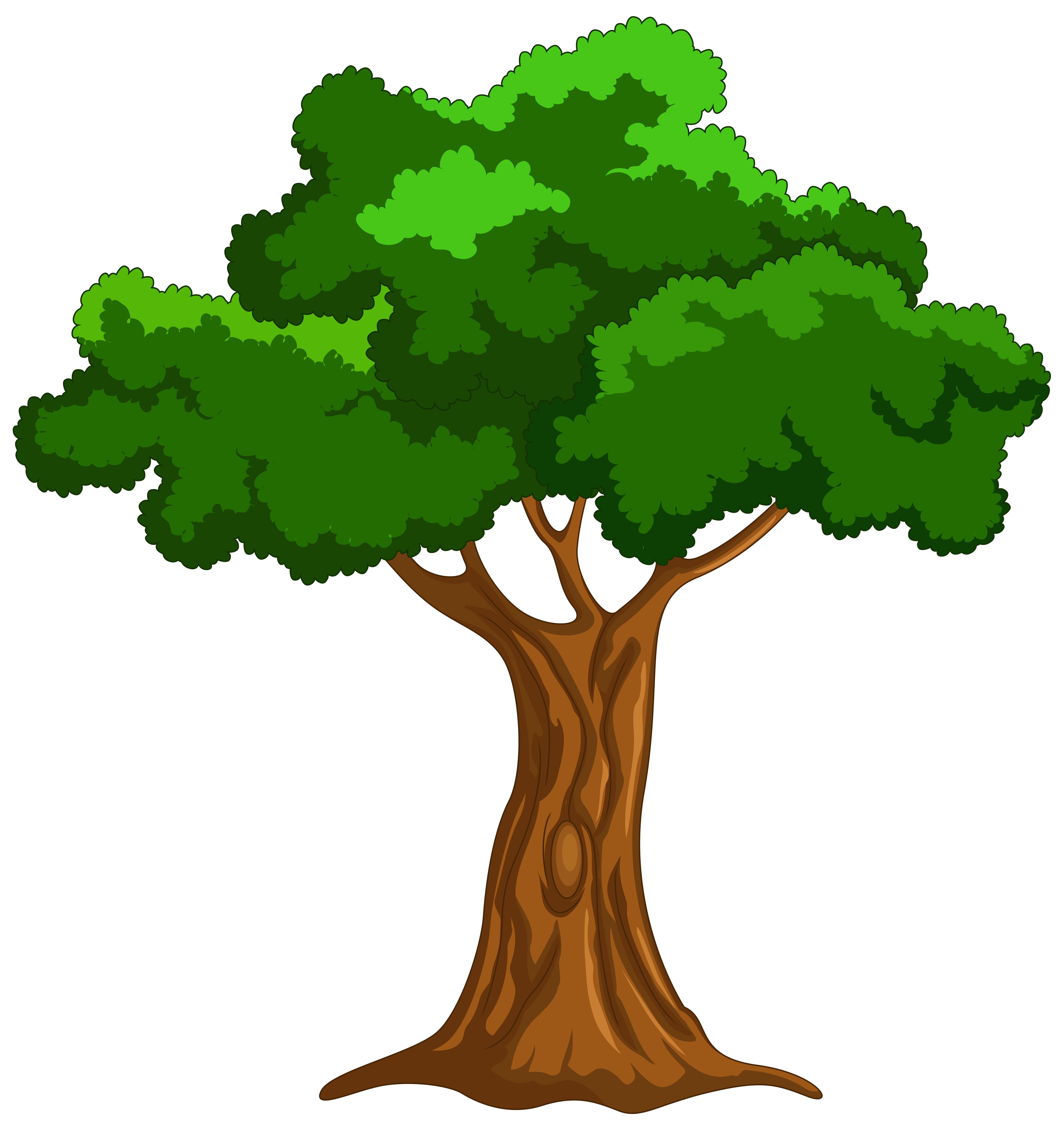 Cartoon Trees Wallpapers