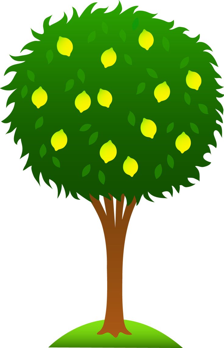 Cartoon Trees Wallpapers