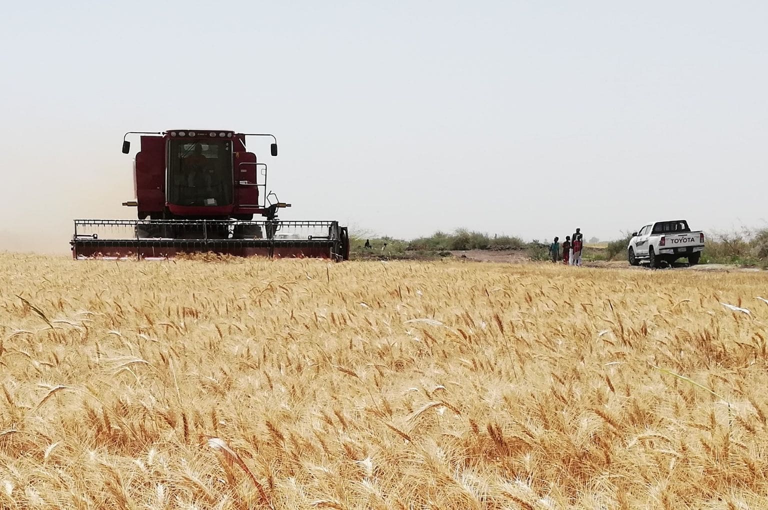 Case Ih Axial-Flow Harvester Wallpapers