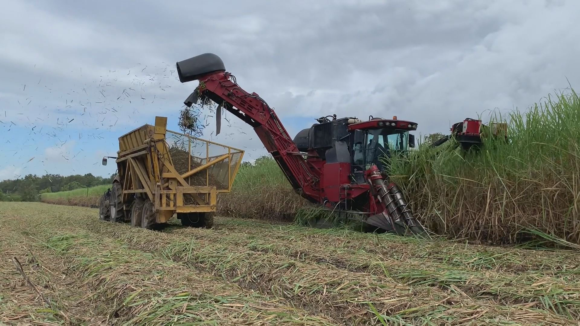 Case Sugarcane Harvester Wallpapers