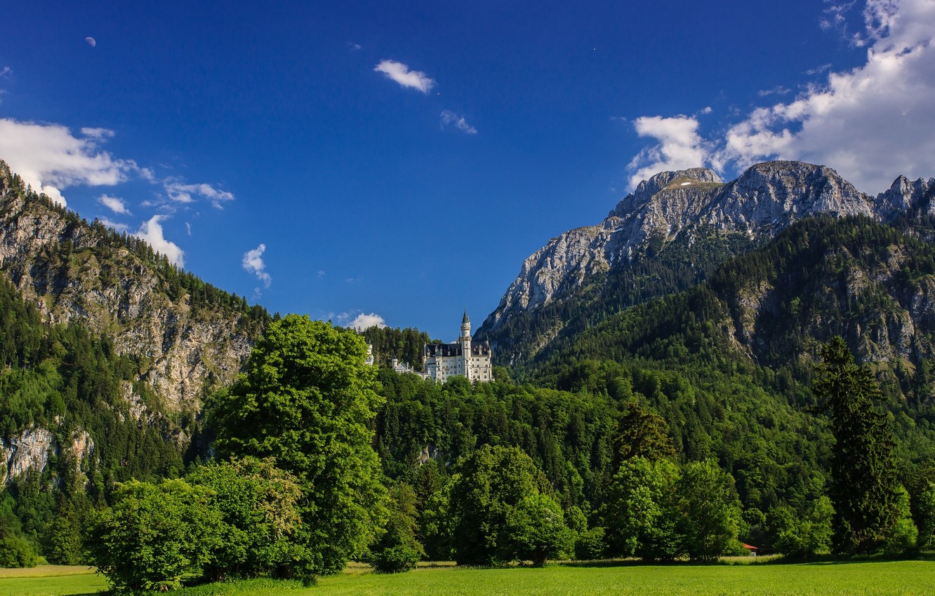 Castle In The Forest Top Of Mountains Wallpapers