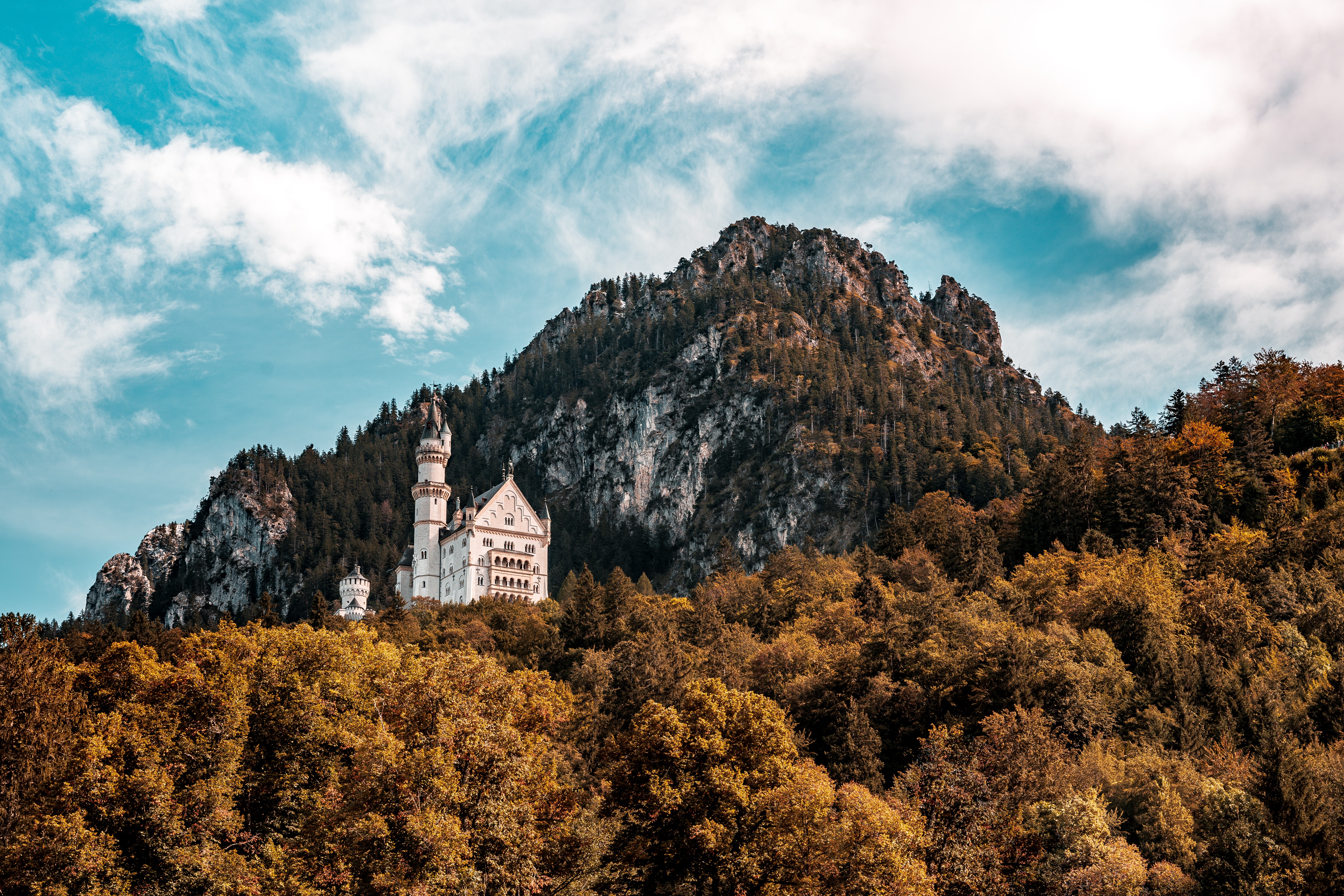 Castle In The Forest Top Of Mountains Wallpapers