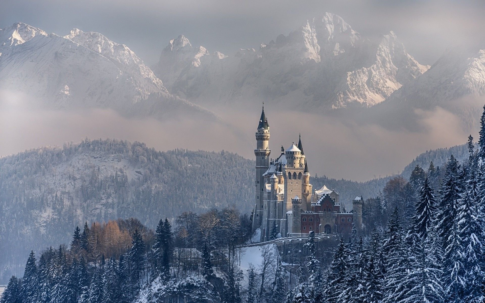 Castle In The Forest Top Of Mountains Wallpapers