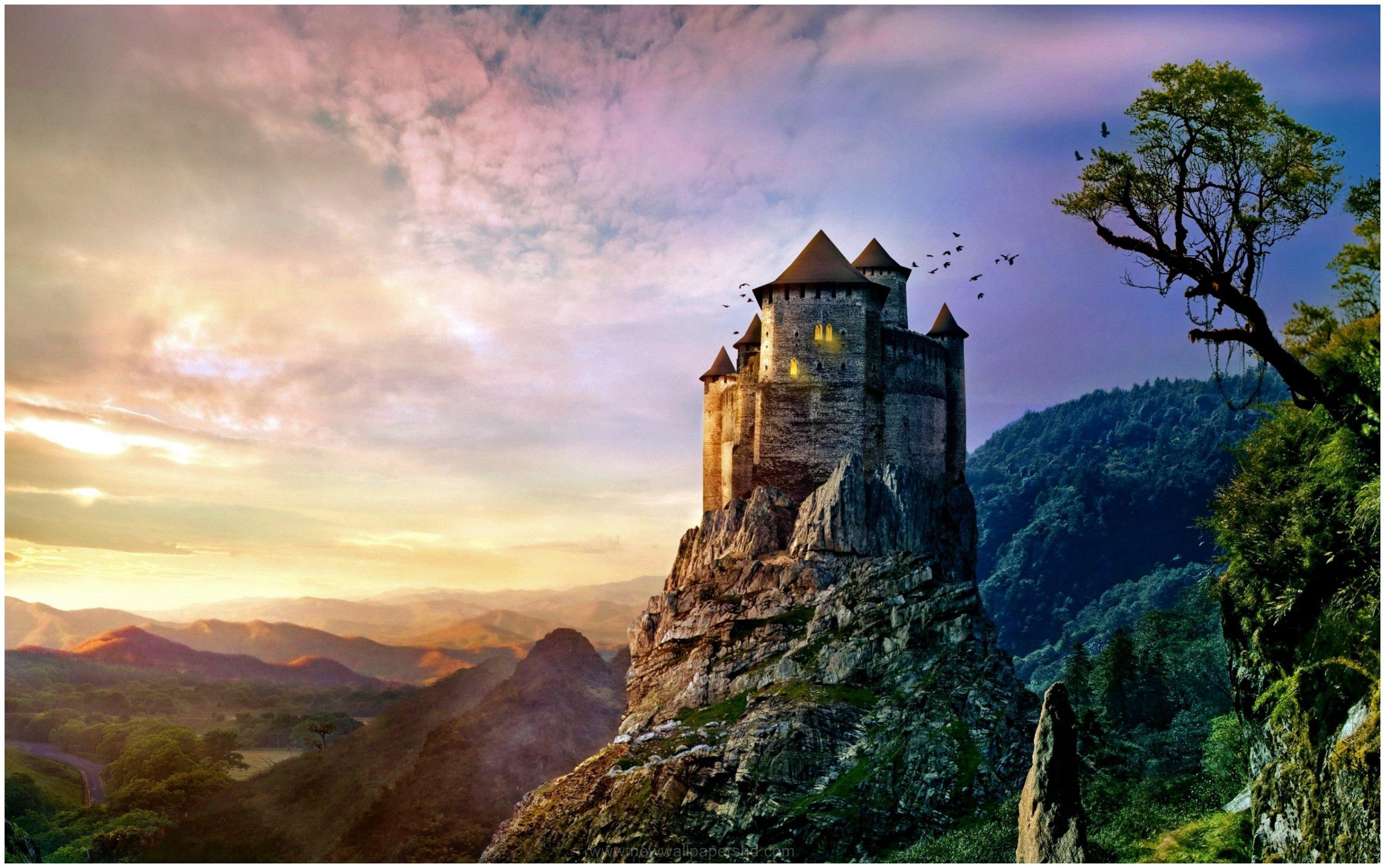 Castle In The Forest Top Of Mountains Wallpapers