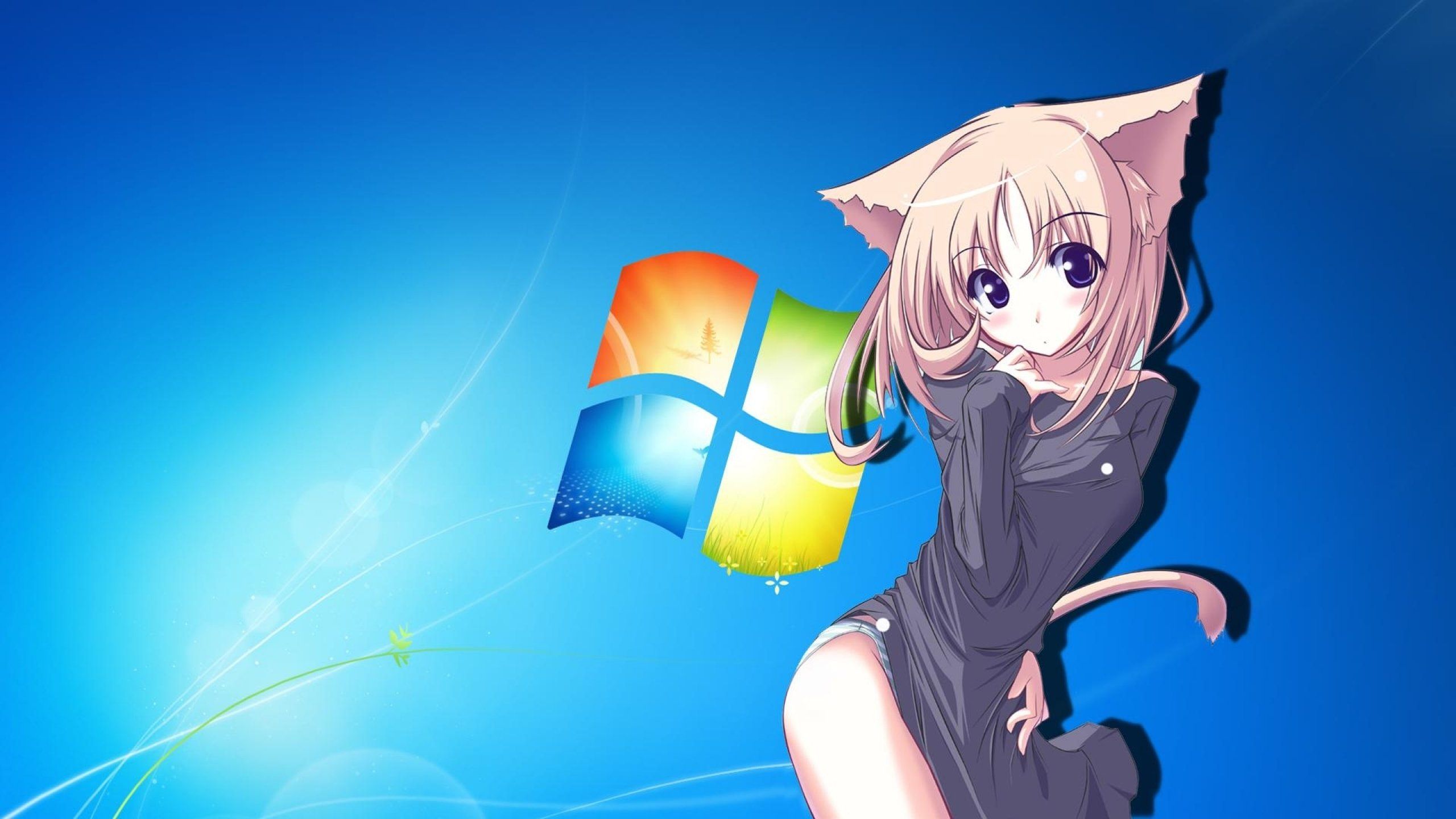 Cat Anime Computer Wallpapers