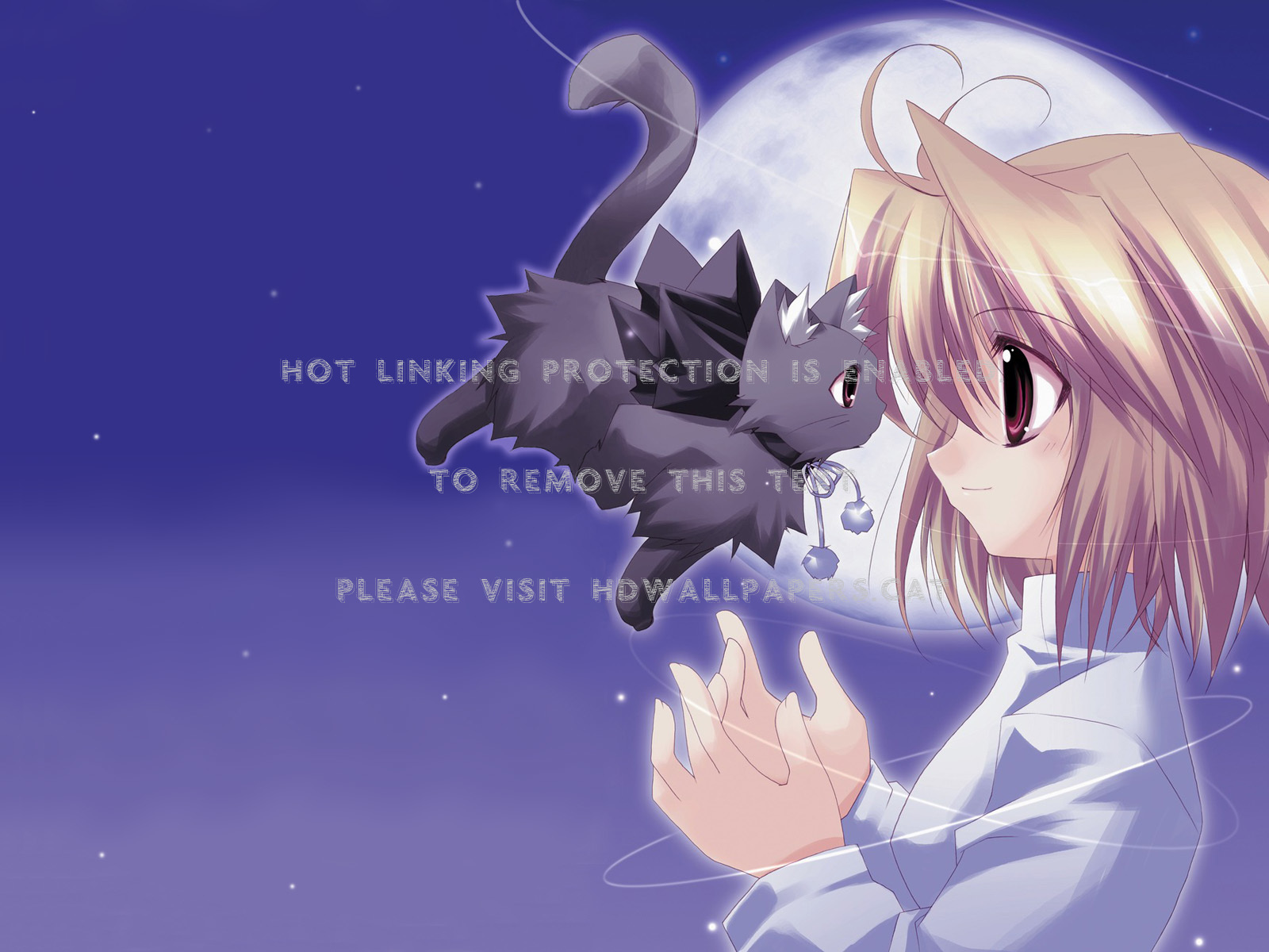 Cat Anime Computer Wallpapers