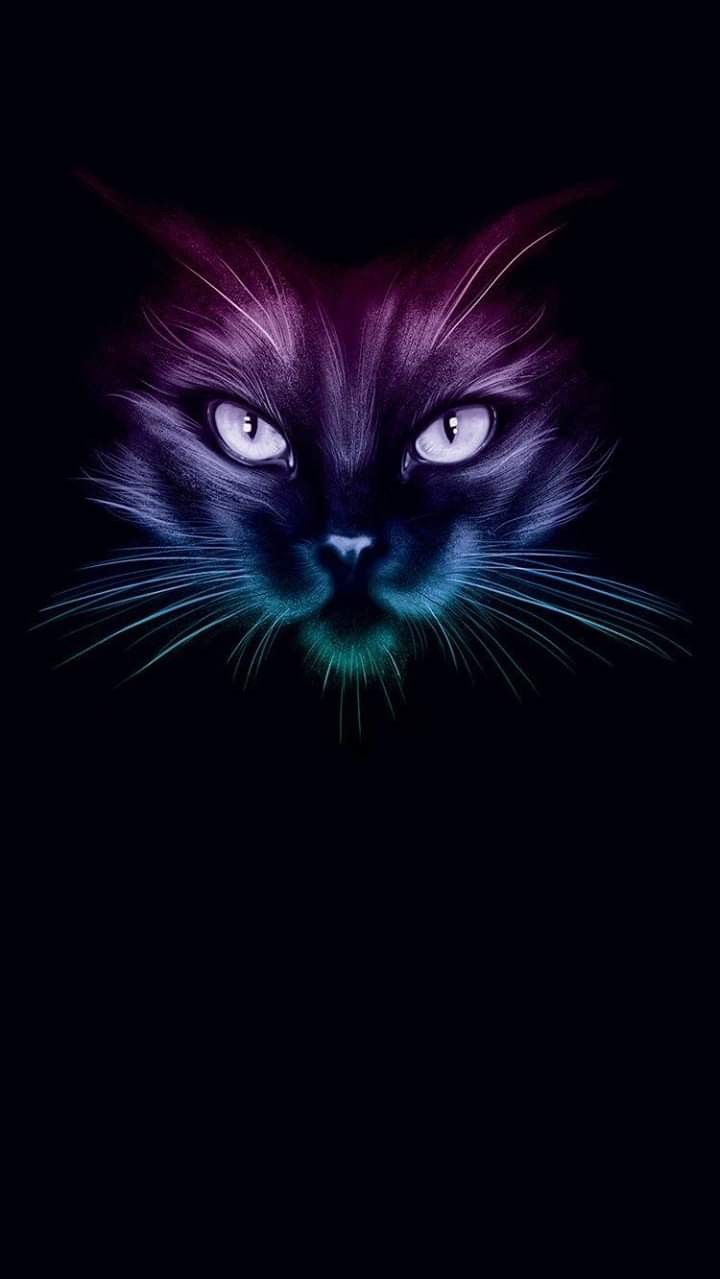 Cat Art 8 Iphone Wallpapers