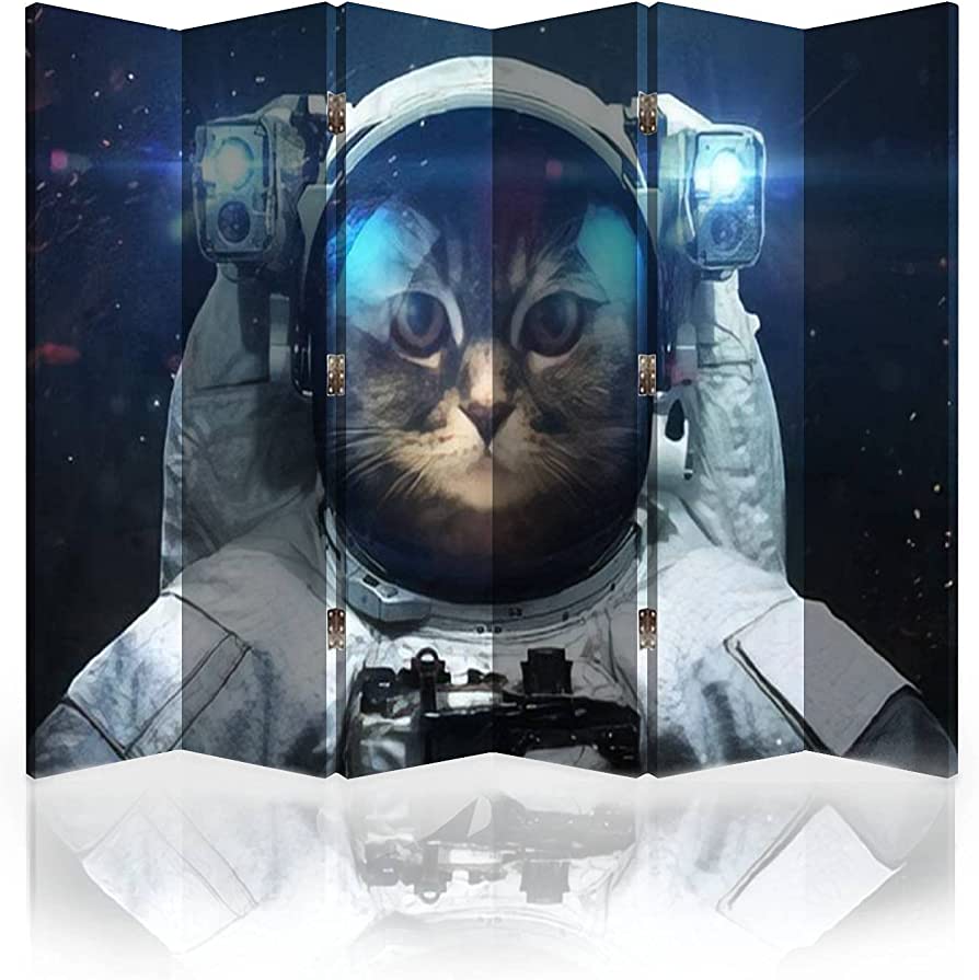 Cat Astronaut Wallpapers