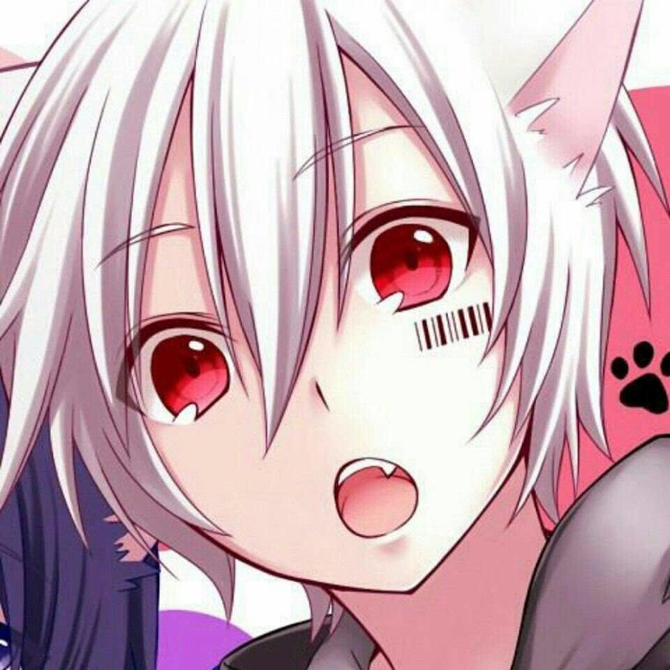 Cat Boy Anime Wallpapers