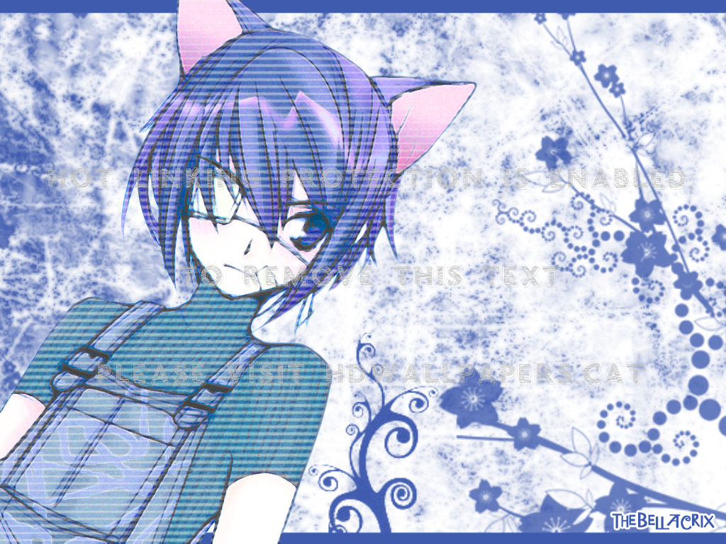 Cat Boy Anime Wallpapers