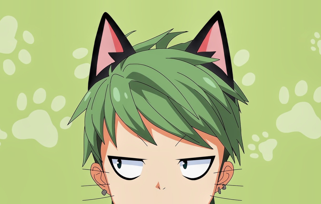Cat Boy Anime Wallpapers
